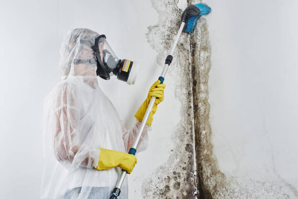 Forensic Mold Investigation in Glasgow, OR